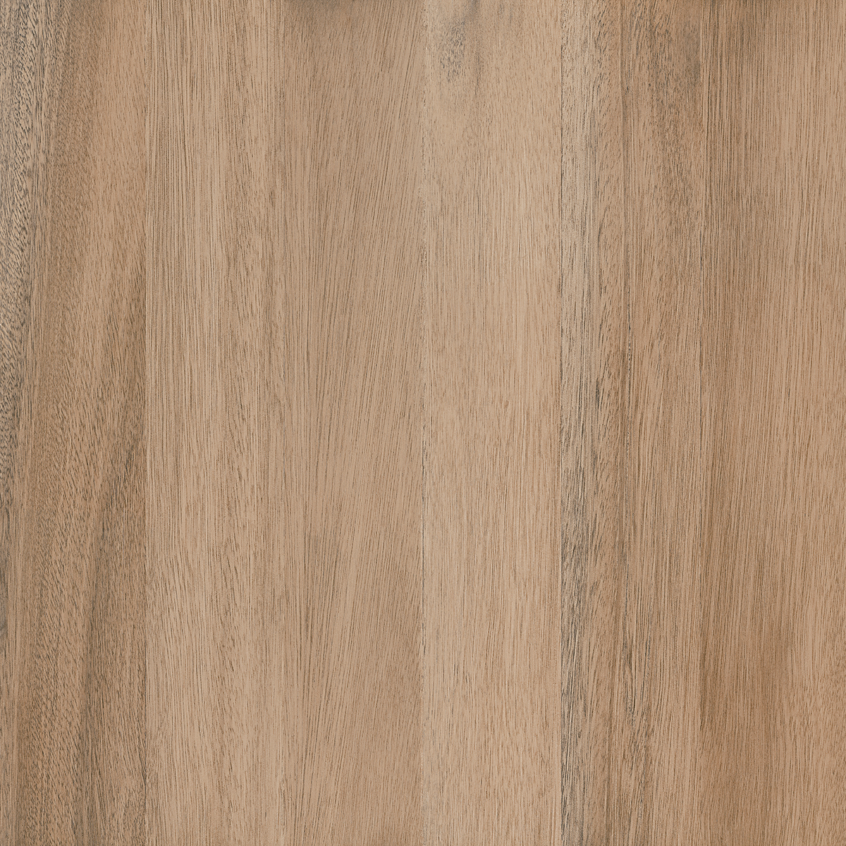 RT-TIMBÓ AVELÃ BRILHANTE